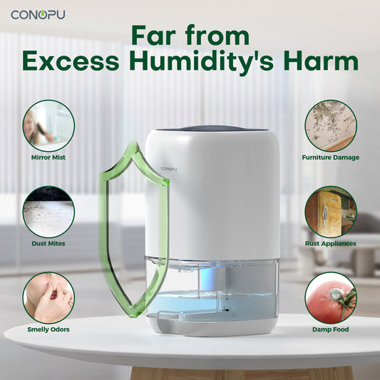 Déshumidificateur compact 450 ml/jour pour salle de bain et placard — vue 3