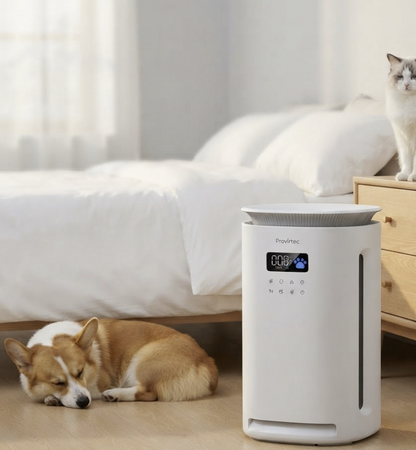 Purificateur d'air spécial animaux de compagnie pour foyer avec chien ou chat