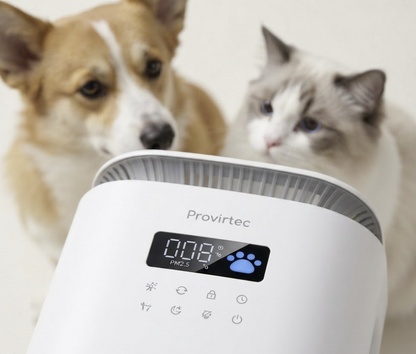 Purificateur d'air spécial animaux de compagnie pour pièce de vie avec animaux